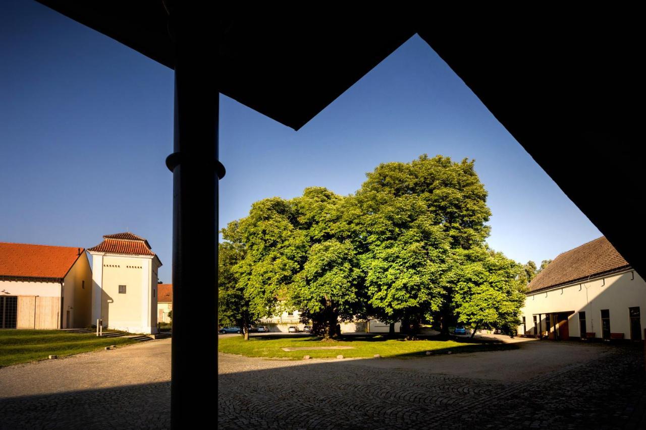 Penzion Pansky Dvur Telč Kültér fotó