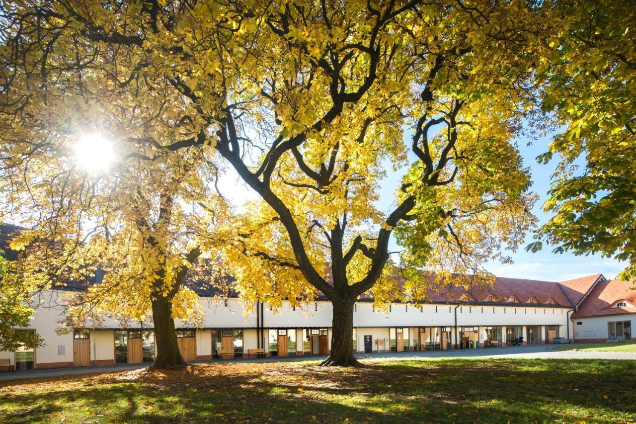 Penzion Pansky Dvur Telč Kültér fotó